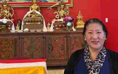 Interview with Tibetan Doctor Phuntsog Wangmo